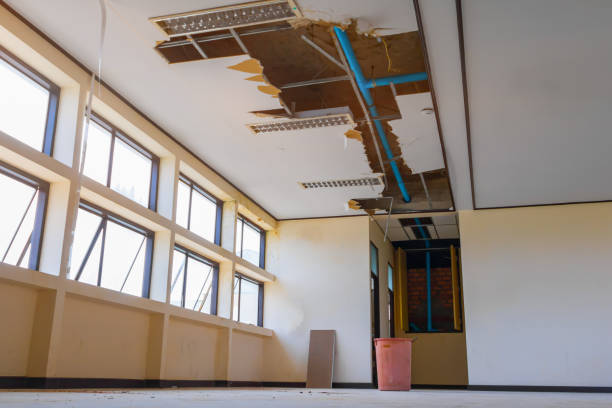 Best Flood damage cleanup  in Machias, WA