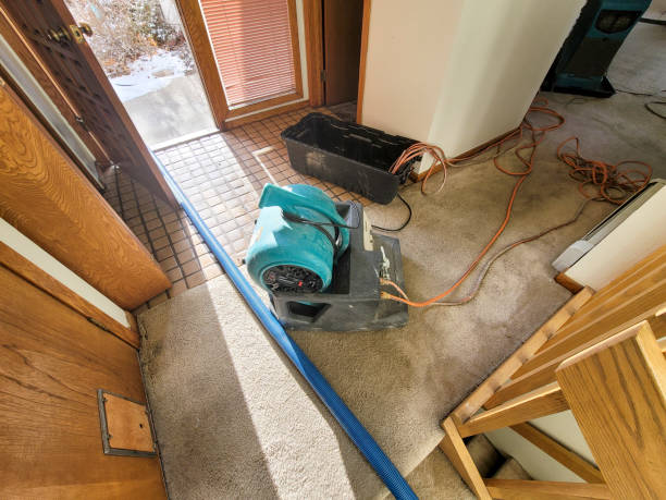 Best Ceiling water damage repair  in Machias, WA