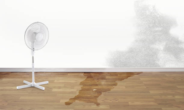 Best Water damage restoration insurance claims  in Machias, WA