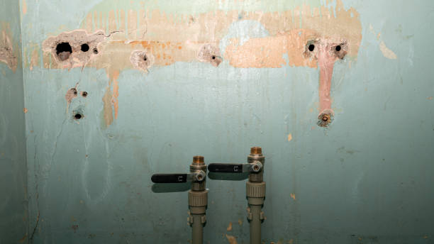 Best Sewage cleanup and water damage restoration  in Machias, WA