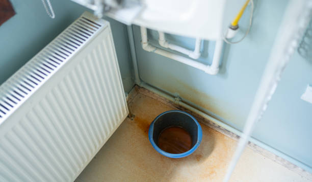 Best Local water damage restoration  in Machias, WA