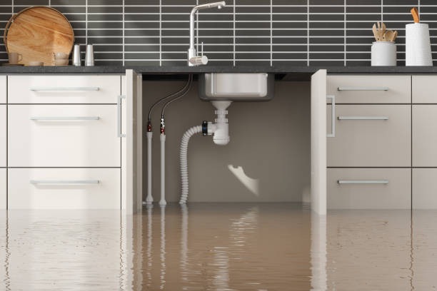 Best Water damage restoration cost  in Machias, WA