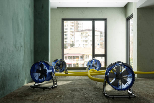 Best Water damage restoration near me  in Machias, WA